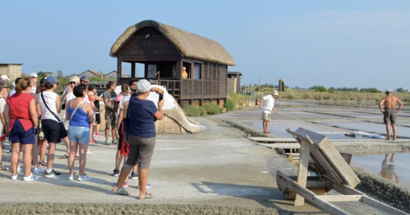 Visite guidate alla Salina Camillone